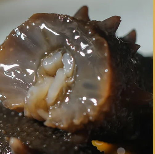 less salted Farmed Sea Cucumbers — Original Length 12 cm