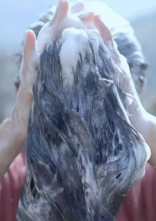 Chinese Herbs Functional Shampoo Bar