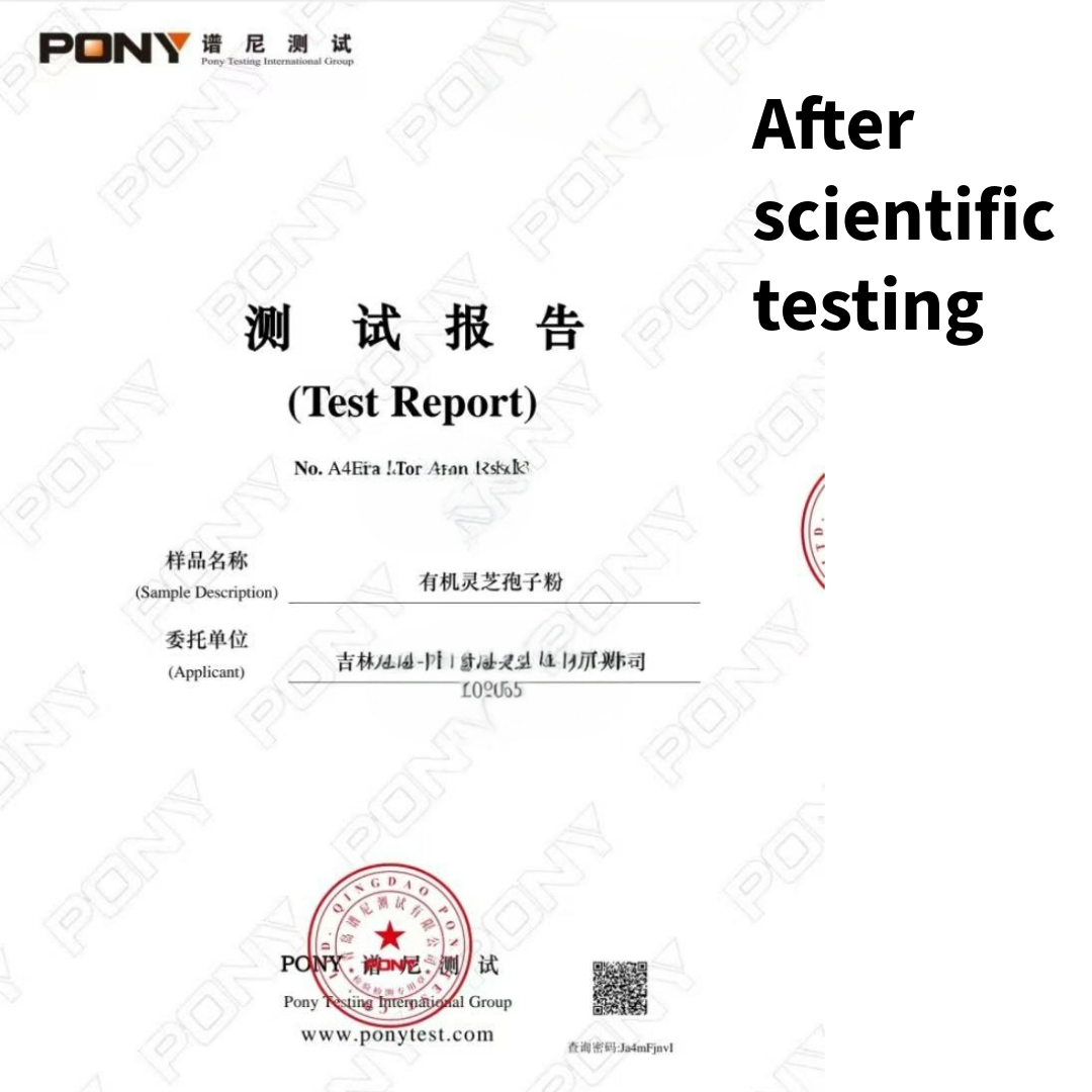 Changbai Mountain Ganoderma Lucidum Spore Powder (100g)