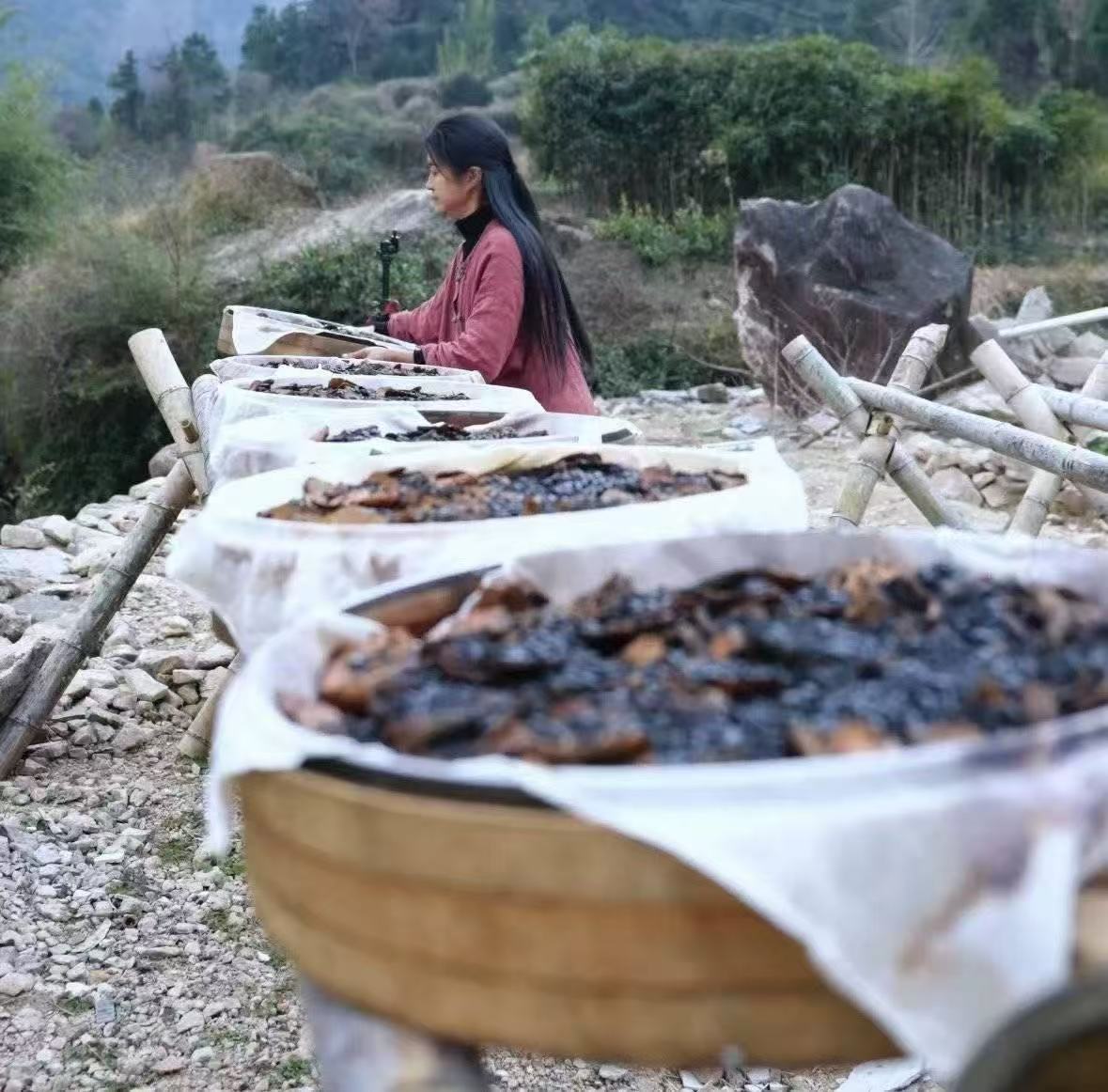 Chinese Herbs Functional Shampoo Bar