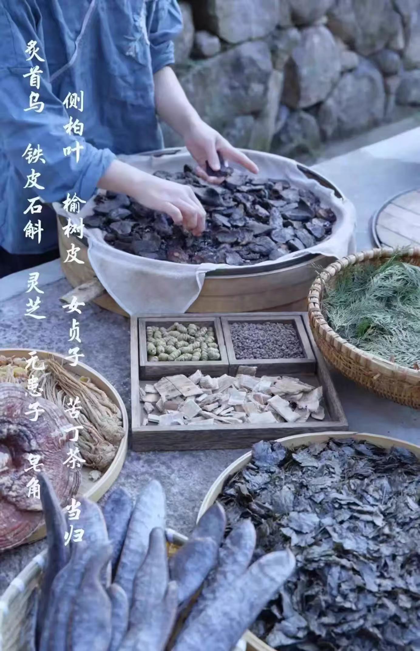 Chinese Herbs Functional Shampoo Bar