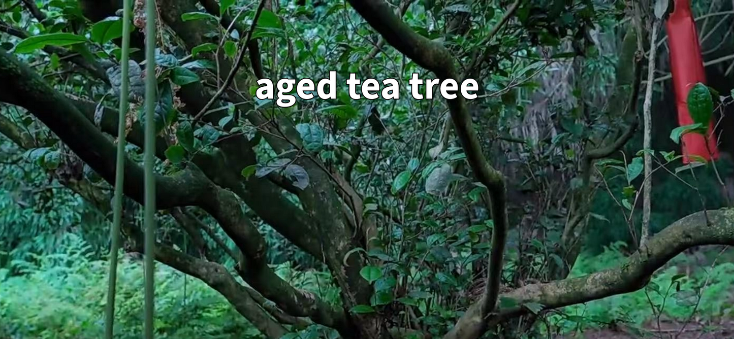 Traditional Rose Red Tea