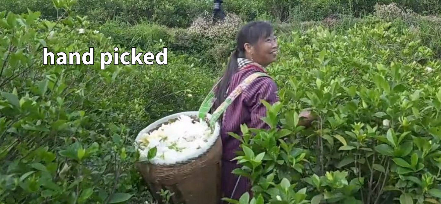 Traditional Rose Red Tea