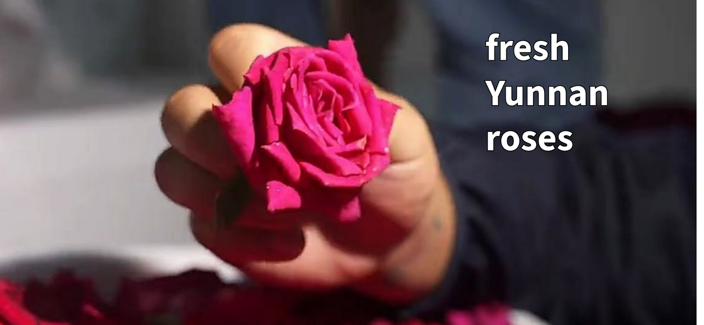 Traditional Rose Red Tea