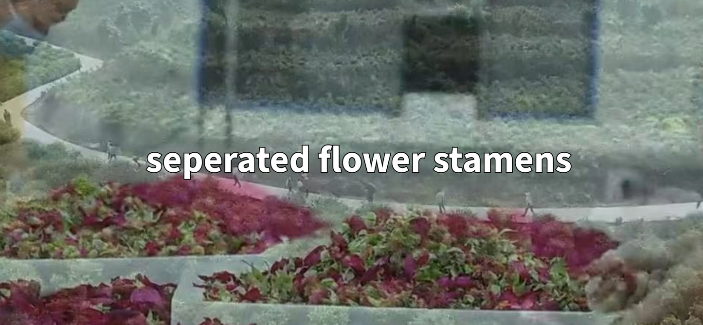 Traditional Rose Red Tea