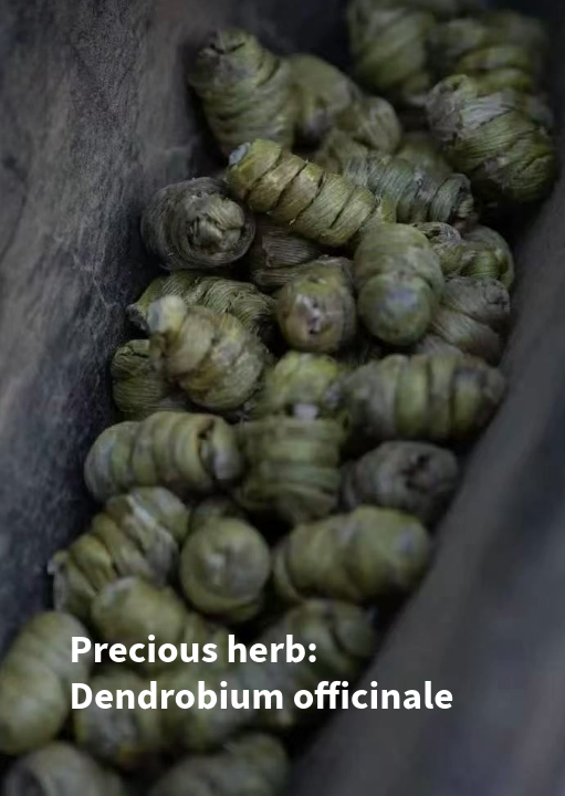 Chinese Herbs Functional Shampoo Bar