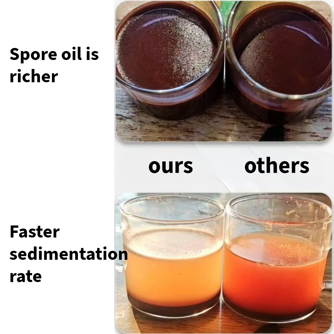 Changbai Mountain Ganoderma Lucidum Spore Powder (100g)